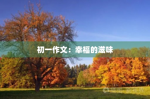 初一作文：幸福的滋味