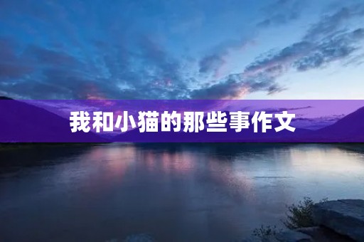我和小猫的那些事作文