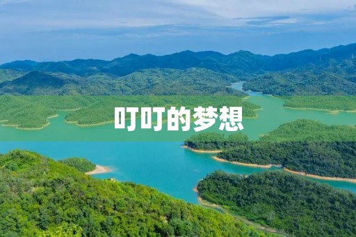 叮叮的梦想