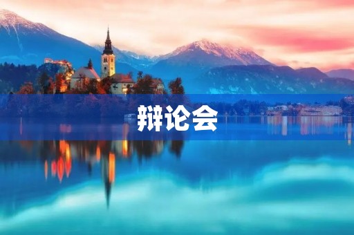 辩论会