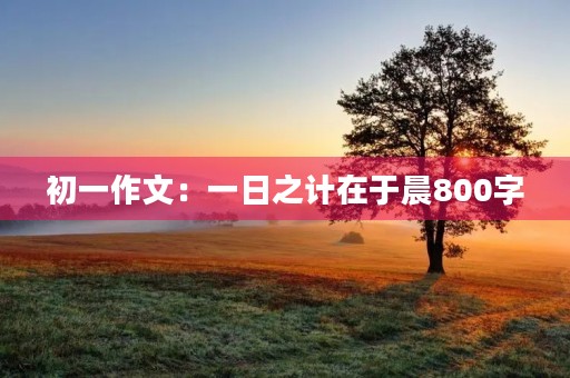 初一作文：一日之计在于晨800字