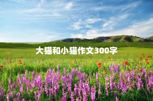 大猫和小猫作文300字