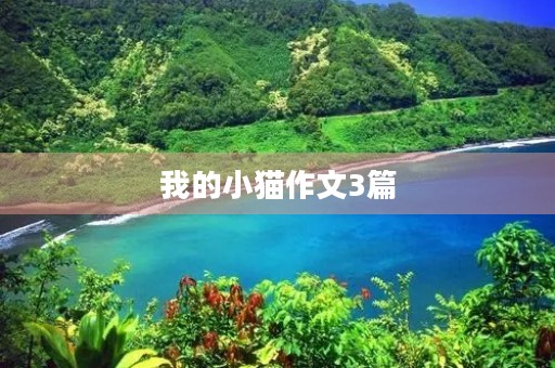 我的小猫作文3篇