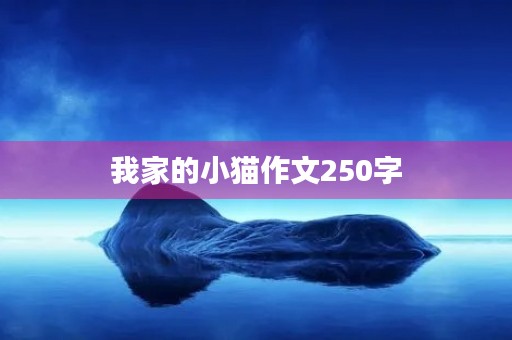 我家的小猫作文250字