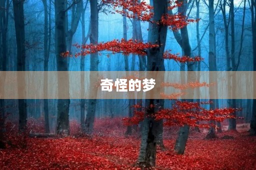 奇怪的梦