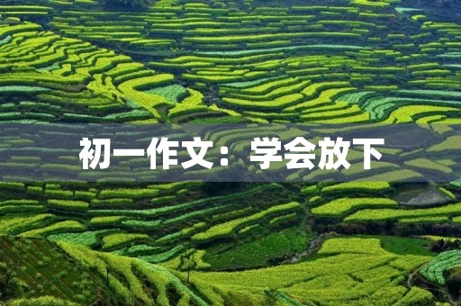 初一作文：学会放下
