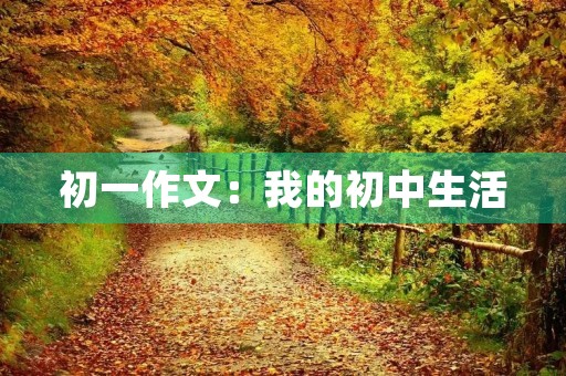 初一作文：我的初中生活