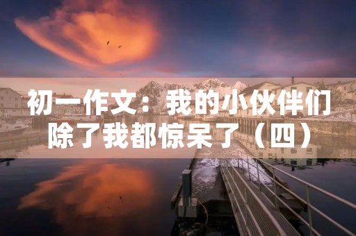 初一作文：我的小伙伴们除了我都惊呆了（四）