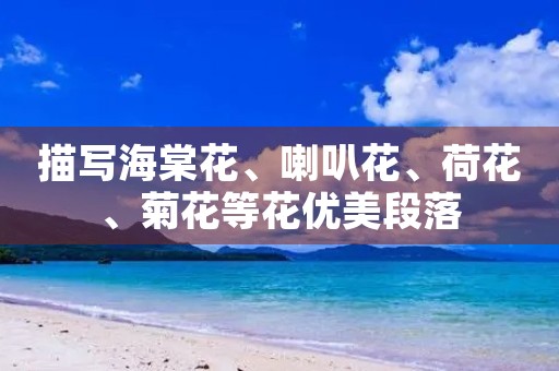 描写海棠花、喇叭花、荷花、菊花等花优美段落 描写海棠花、喇叭花、荷花、菊花等花优美段落