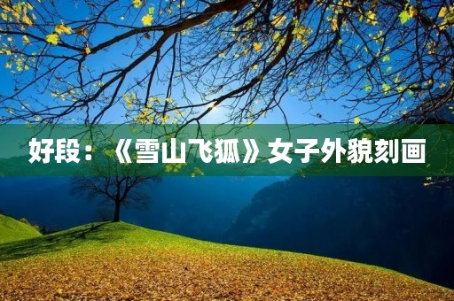 好段：《雪山飞狐》女子外貌刻画