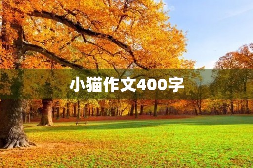 小猫作文400字