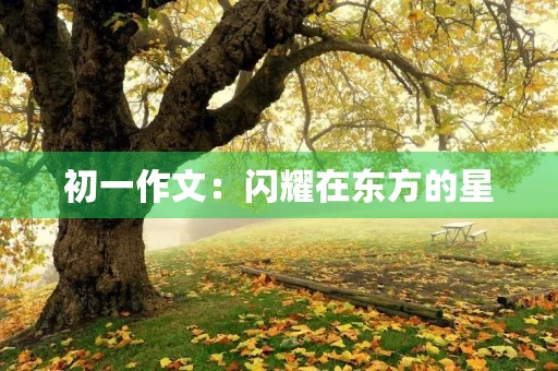 初一作文：闪耀在东方的星
