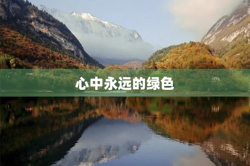 心中永远的绿色