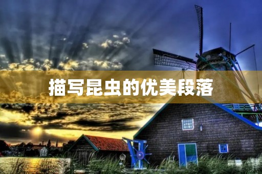 描写昆虫的优美段落
