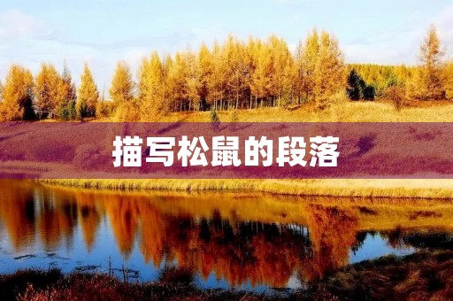 描写松鼠的段落