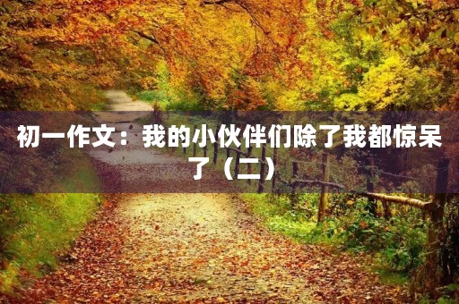初一作文：我的小伙伴们除了我都惊呆了（二）