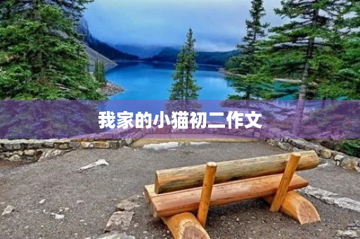 我家的小猫初二作文