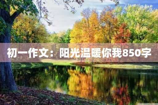 初一作文：阳光温暖你我850字