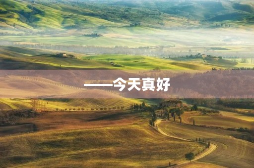 ——今天真好
