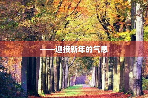 ——迎接新年的气息 ——迎接新年的气息