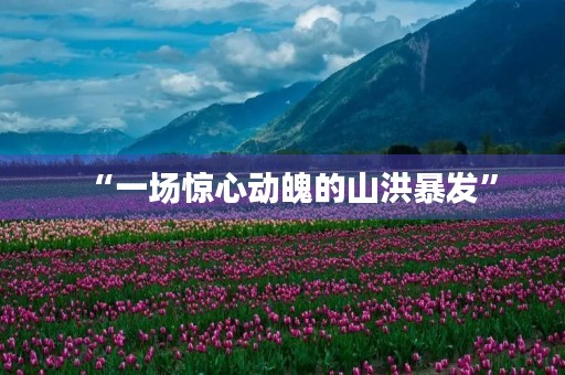 “一场惊心动魄的山洪暴发”