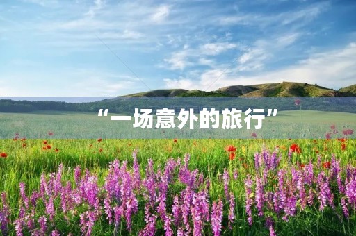 “一场意外的旅行”
