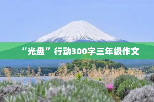 “光盘”行动300字三年级作文
