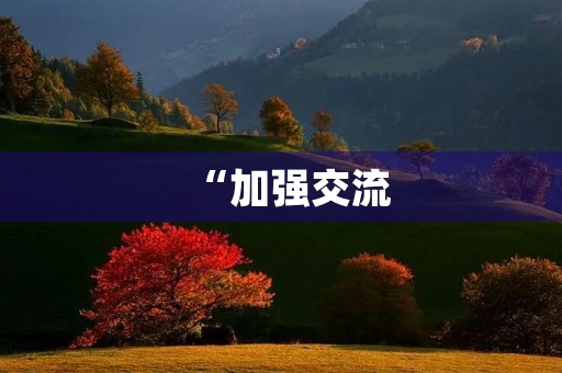 “加强交流，共创未来”——交流会发言稿