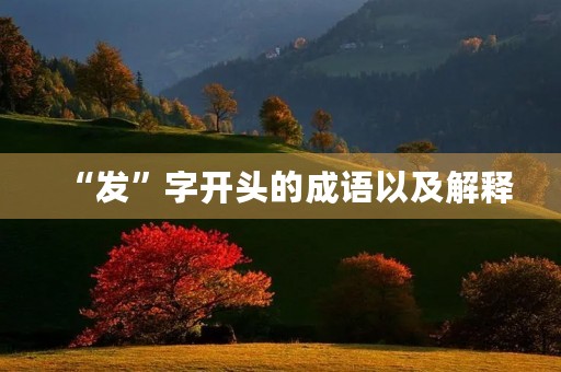 “发”字开头的成语以及解释