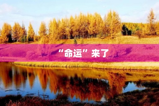 “命运”来了 “命运”来了