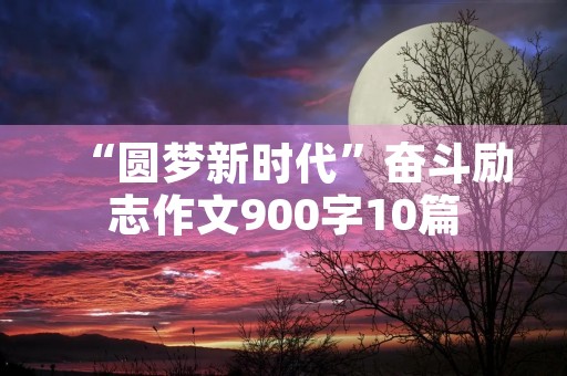 “圆梦新时代”奋斗励志作文900字10篇 “圆梦新时代”奋斗励志作文900字10篇
