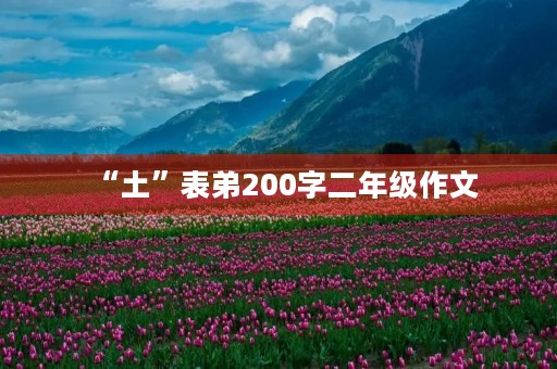 “土”表弟200字二年级作文