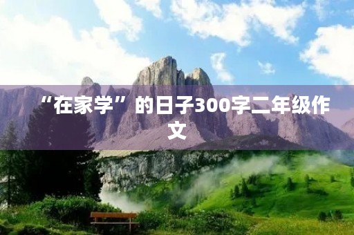 “在家学”的日子300字二年级作文
