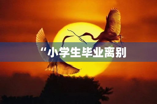 “小学生毕业离别，泪水不舍”