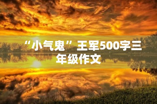 “小气鬼”王军500字三年级作文