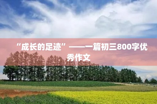 “成长的足迹”——一篇初三800字优秀作文 “成长的足迹”——一篇初三800字优秀作文