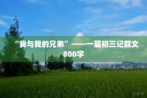 “我与我的兄弟”——一篇初三记叙文800字 “我与我的兄弟”——一篇初三记叙文800字