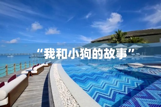 “我和小狗的故事”