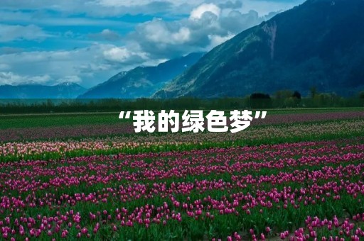 “我的绿色梦” “我的绿色梦”