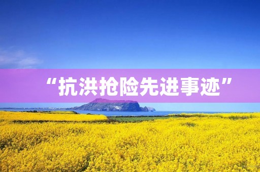 “抗洪抢险先进事迹” “抗洪抢险先进事迹”