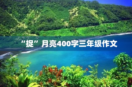 “捉”月亮400字三年级作文