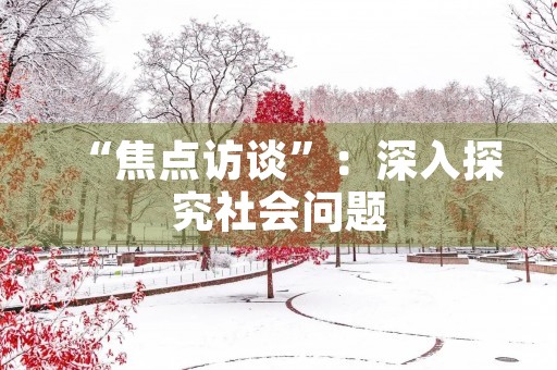 “焦点访谈”：深入探究社会问题