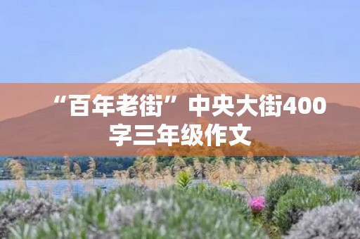 “百年老街”中央大街400字三年级作文