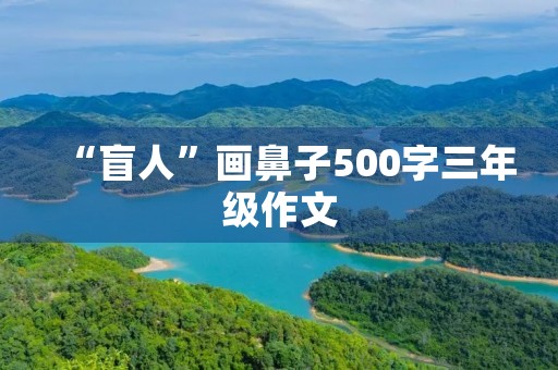 “盲人”画鼻子500字三年级作文