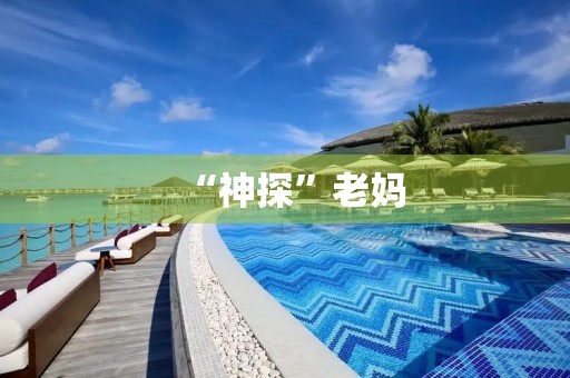 “神探”老妈 “神探”老妈