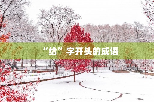 “给”字开头的成语