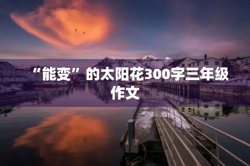 “能变”的太阳花300字三年级作文
