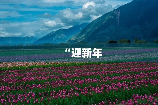 “迎新年,庆元旦”手抄报 “迎新年,庆元旦”手抄报
