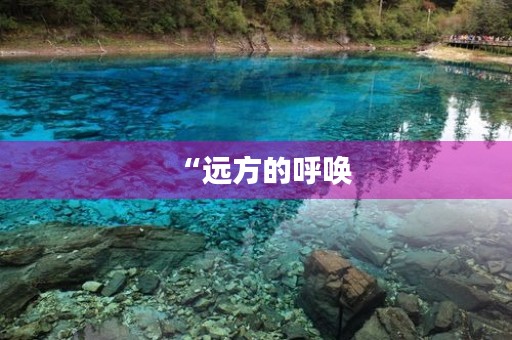 “远方的呼唤,令我不得不前往——什么什么我来了” “远方的呼唤,令我不得不前往——什么什么我来了”
