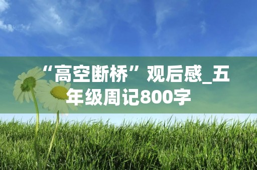 “高空断桥”观后感_五年级周记800字